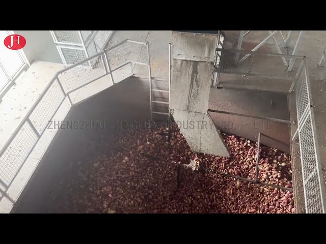 중국 SS 세정 고구마 전분 성형기 25t/H 18.5 kw 판매