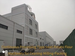 연속 가공 달콤한 감자 밀가루 장비들 달콤한 감자 스타크 기계